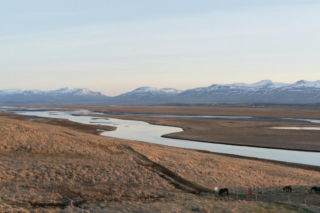 Breathtaking view of Icelandic landscape with a winding river, mountains, and grazing horses at sunset.