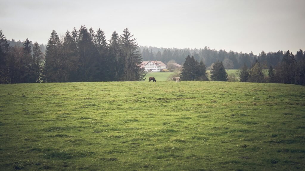 Wohnmobilstellplatz Allgäu