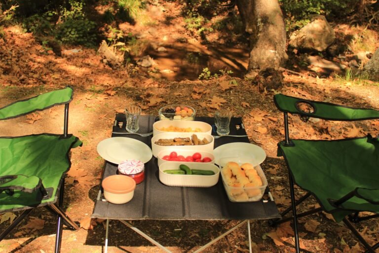 Inviting outdoor picnic scene with chairs, snacks, and natural greenery.