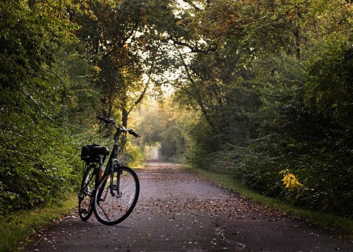bike, trail, bicycle, sport, ride, exercise, recreation, path, lifestyle, bike, bike, bike, bike, bike, bicycle, bicycle, bicycle, exercise, exercise bike, trail, bicycle, sport, ride, exercise, recreation, path, lifestyle, bike, bike, bike, bike, bike, bicycle, bicycle, bicycle, exercise, exercise