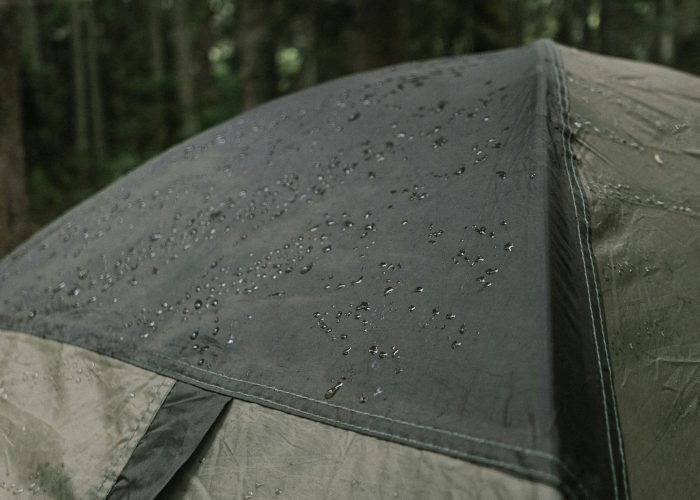 pexels-photo-9159981-9159981 Close-up of a wet tent in a serene forest, perfect for adventure enthusiasts.